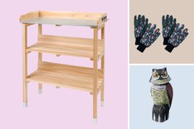 A light wooden shelf garden gloves with floral pattern and a decorative ceramic owl figurine