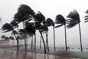 Hurricane Irma seen striking Miami, Florida with 100+ mph winds and destructive storm surge.