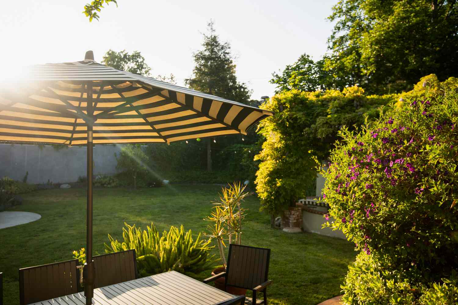 summer backyard with umbrella for shade