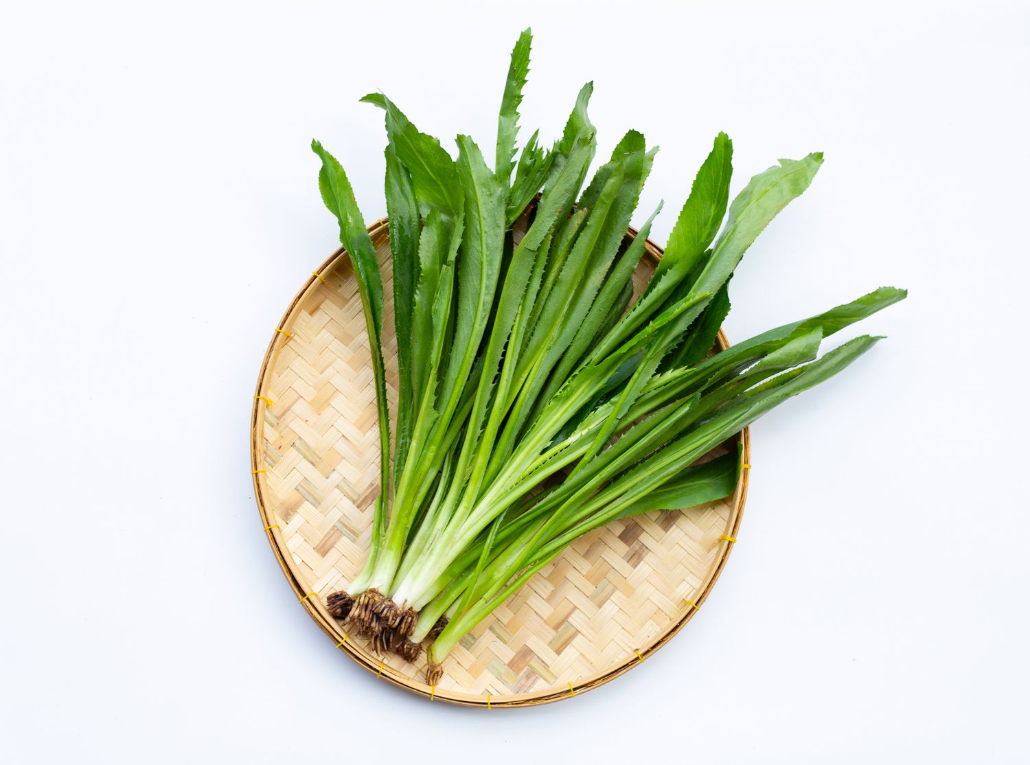 Culantro or sawtooth coriander on white background. Top view