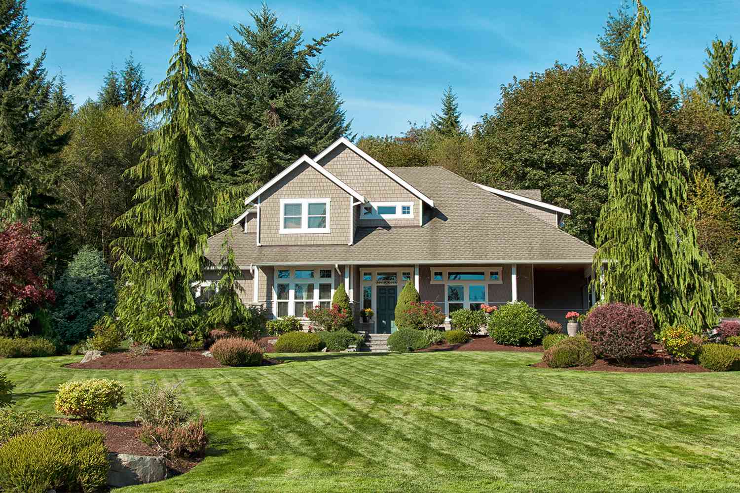 Mowed lawn in front yard of house