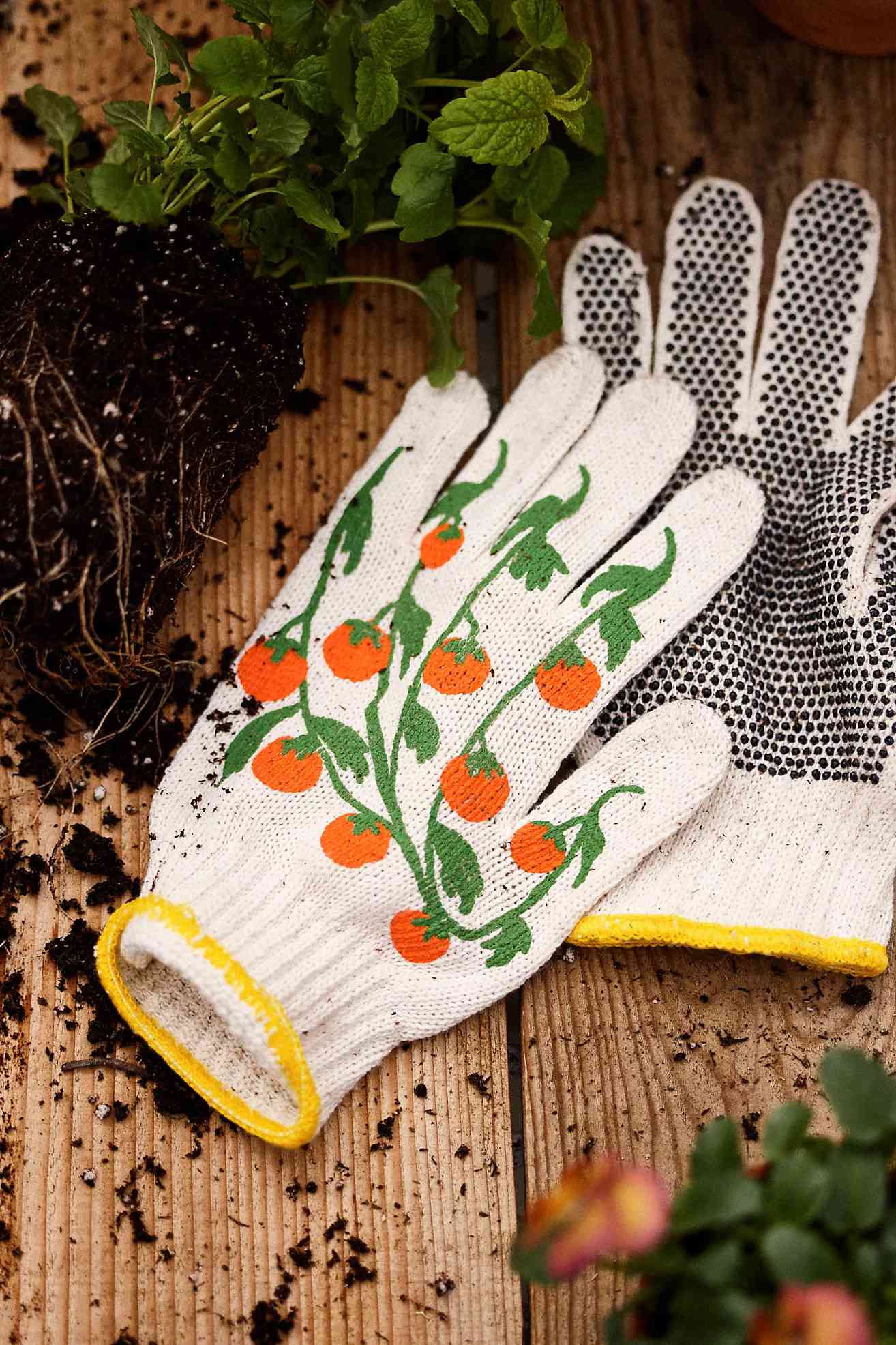 Gardening gloves with a decorative tomato plant design placed on a wooden surface near soil and plants