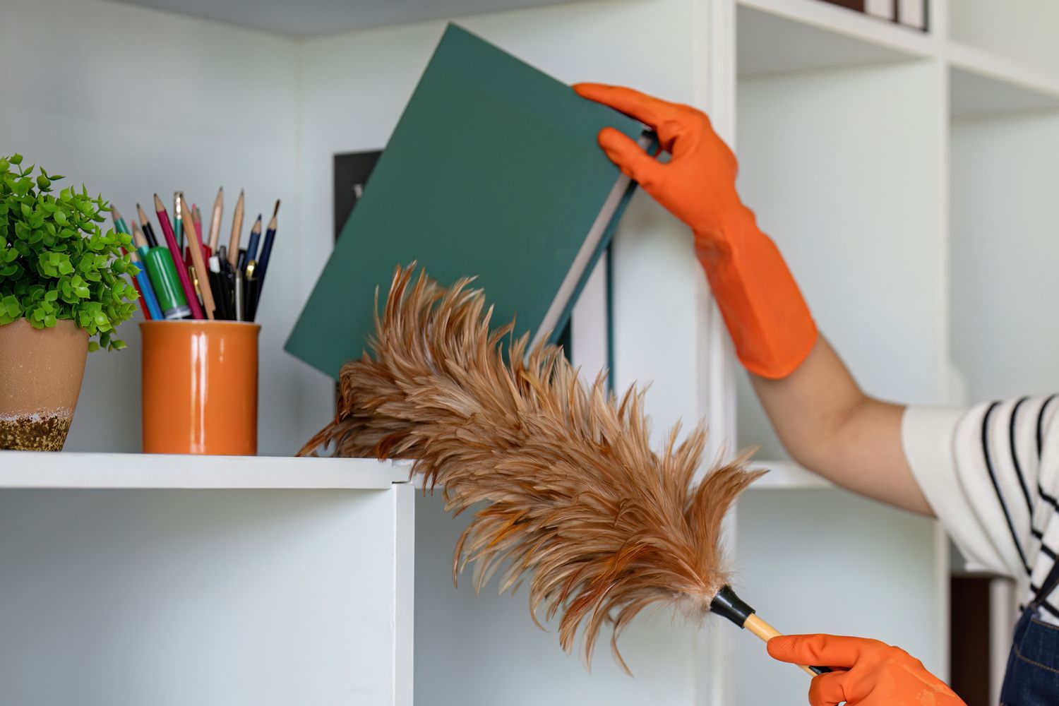 A person wearing orange gloves cleans a bookshelf with a feather duster while holding a book