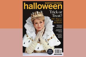 decorvow dressed in a royal costume for a Halloween magazine cover