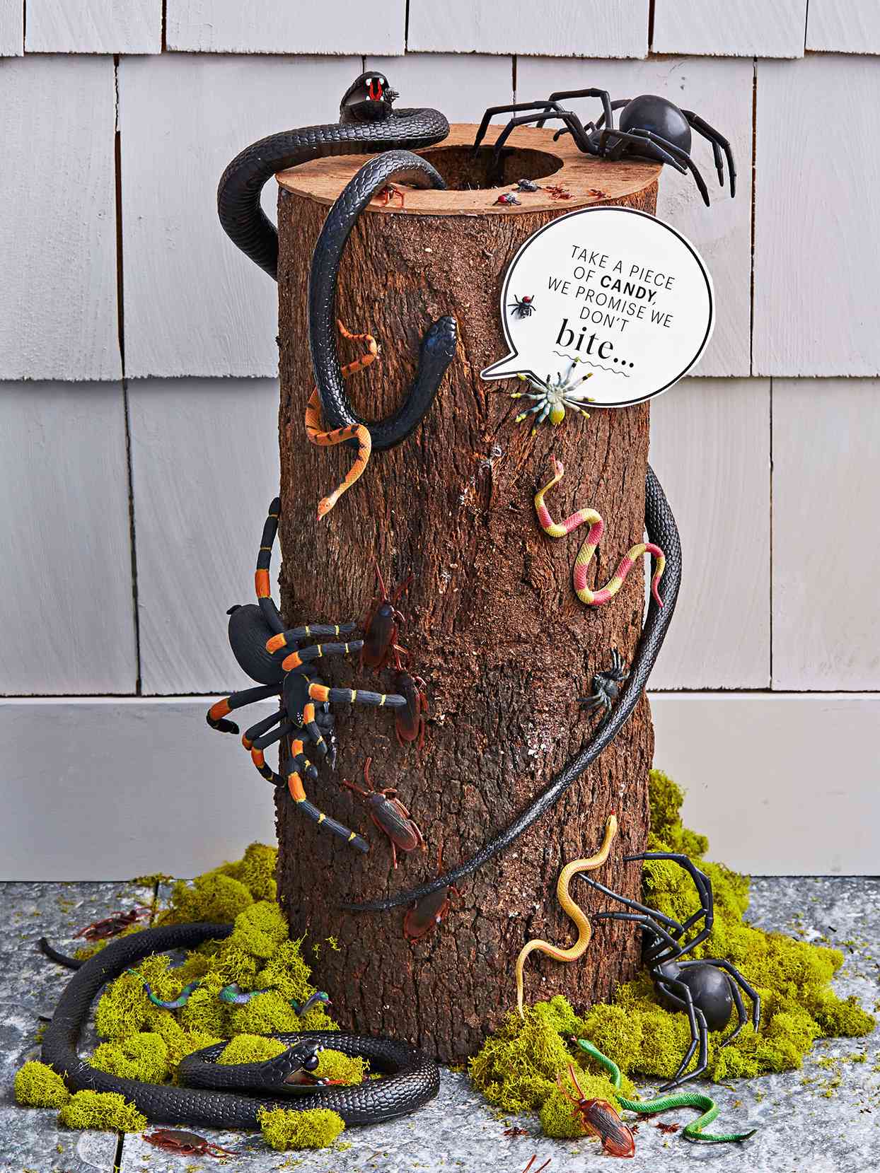 halloween treat log with fake bugs and snakes