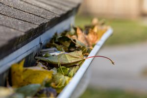 Closeup of house rain gutter clogged with colorful leaves falling from trees in fall. Concept of home maintenace and repair