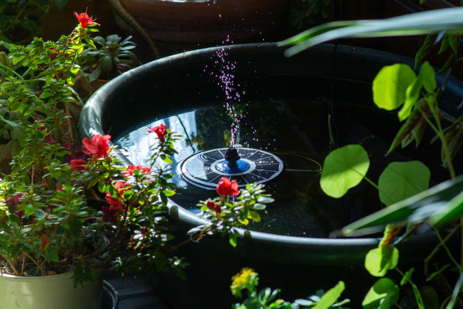 A small garden pond with a solarpowered fountain surrounded by potted plants and foliage