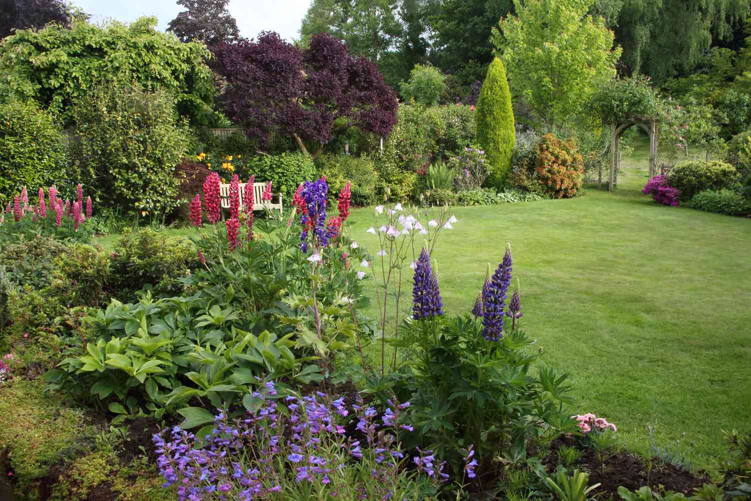 A lush garden featuring flowers, plants, and a manicured lawn with trees and an archway in the background