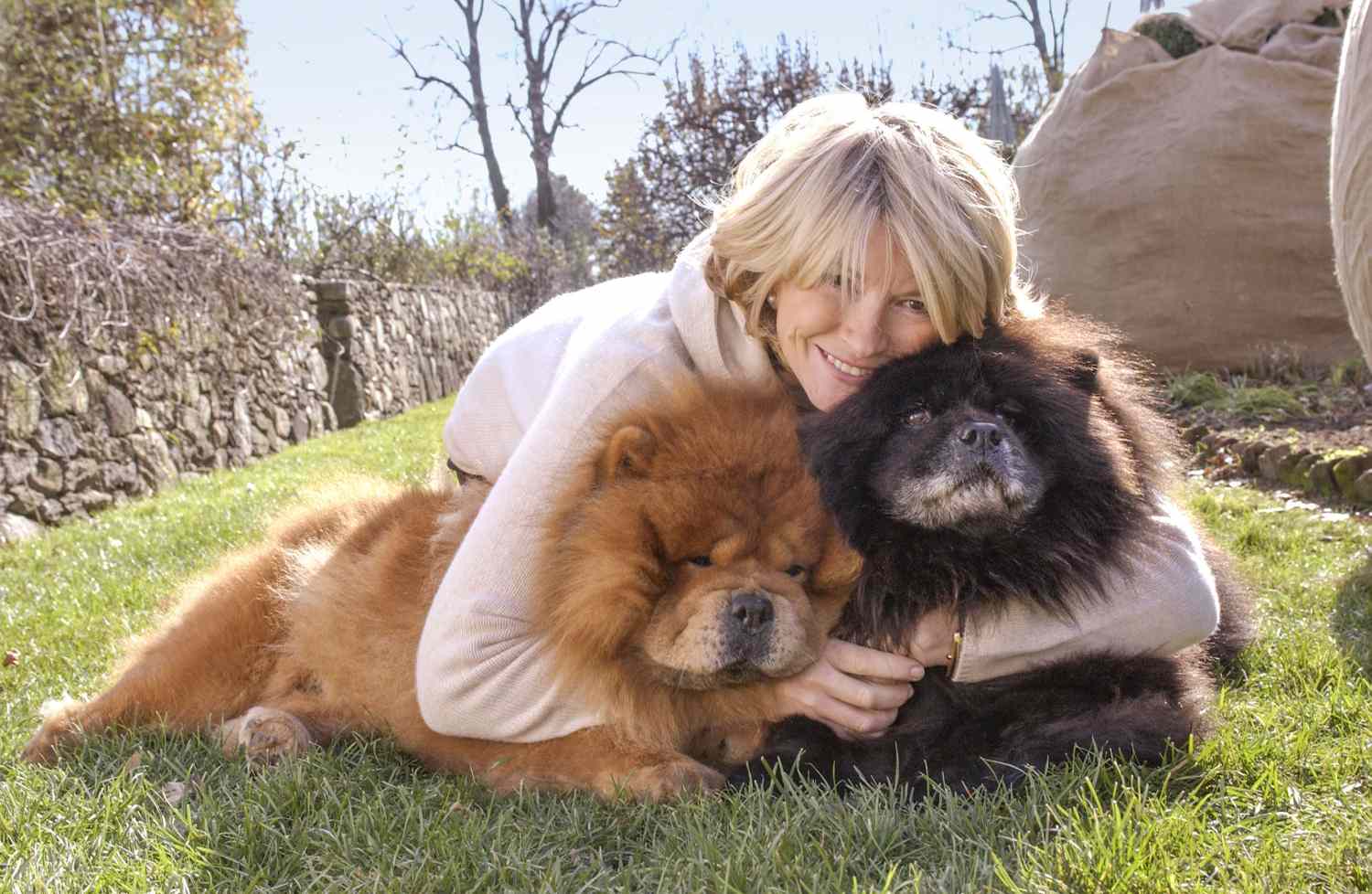 decorvow hugging two Chow Chow dogs 