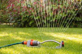Lawn sprinkler in operation on a grassy area