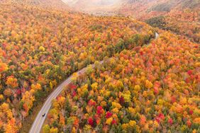 A winding road through a forest during autumn