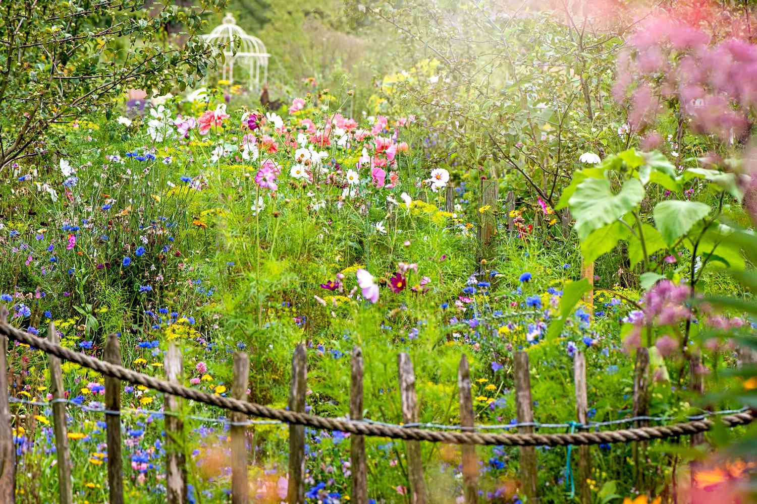 Beautiful summer wildflower garden with a roped rustic wooden gate and wrought iron pergola in the background