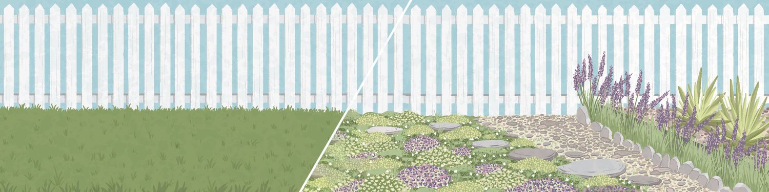 american lawn evolution