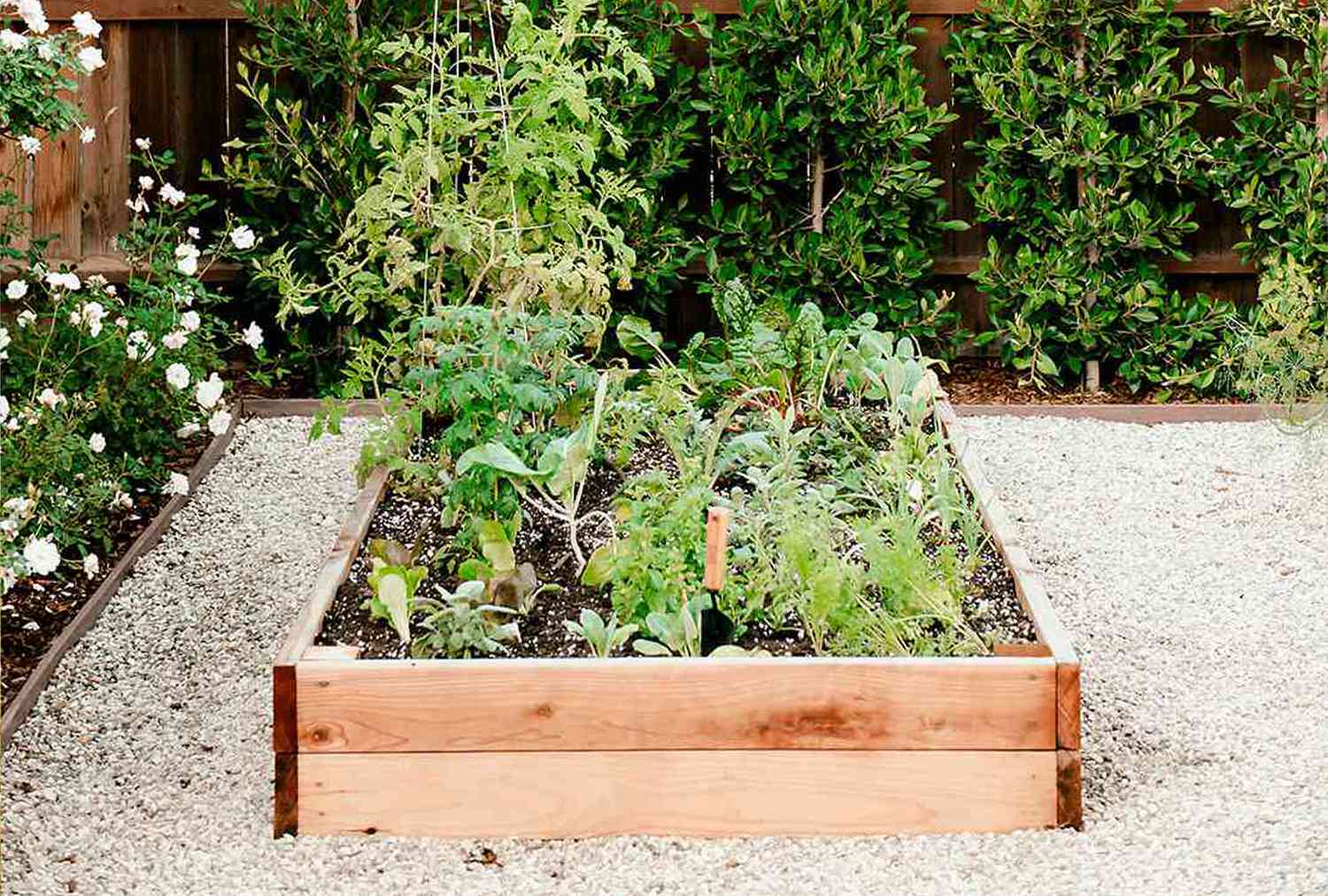 Raised vegetable garden