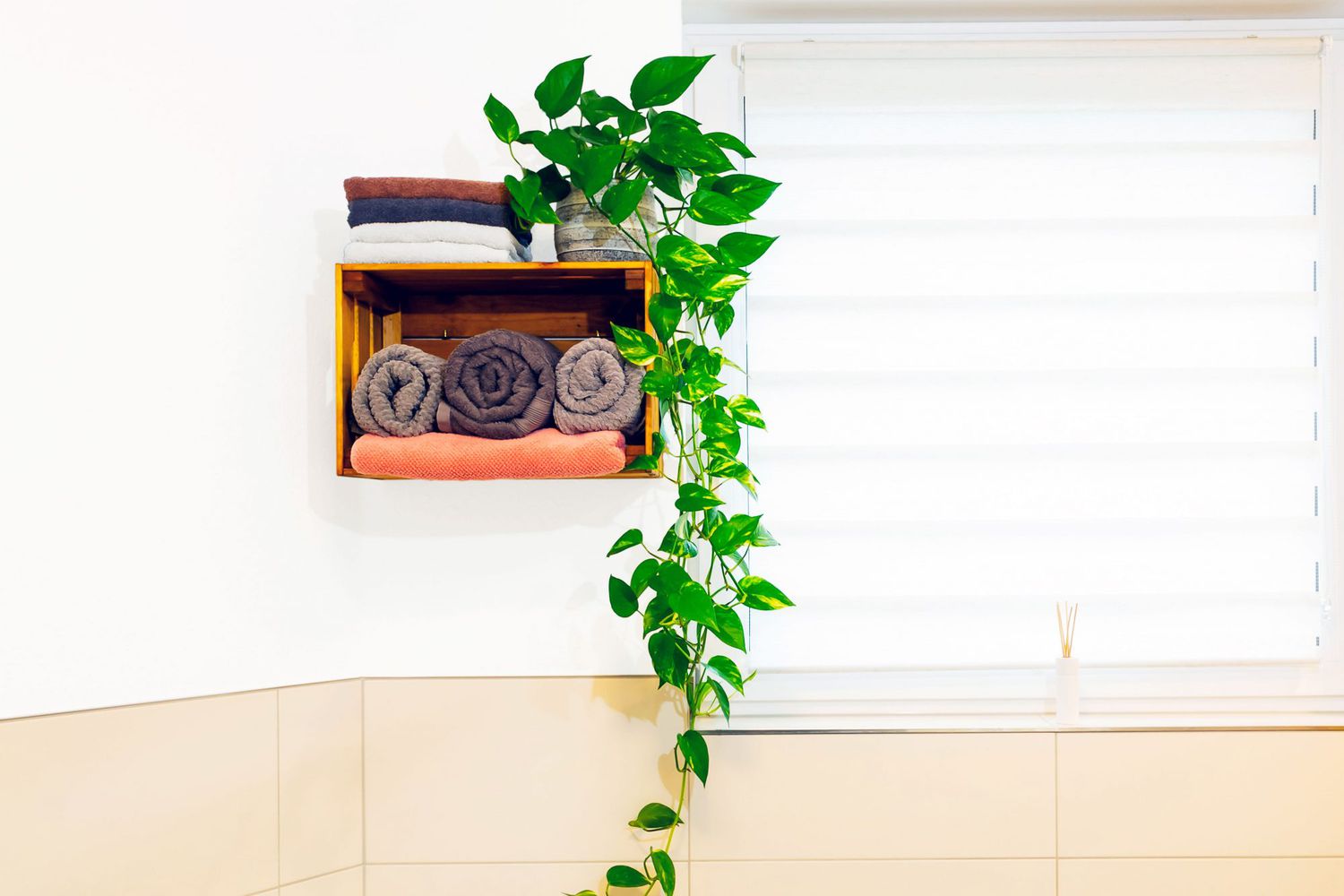 potted pothos plan on bathroom shelf