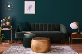 A stylish living room with a green sofa goldtone coffee table and accent furniture and a framed bird artwork on a dark wall