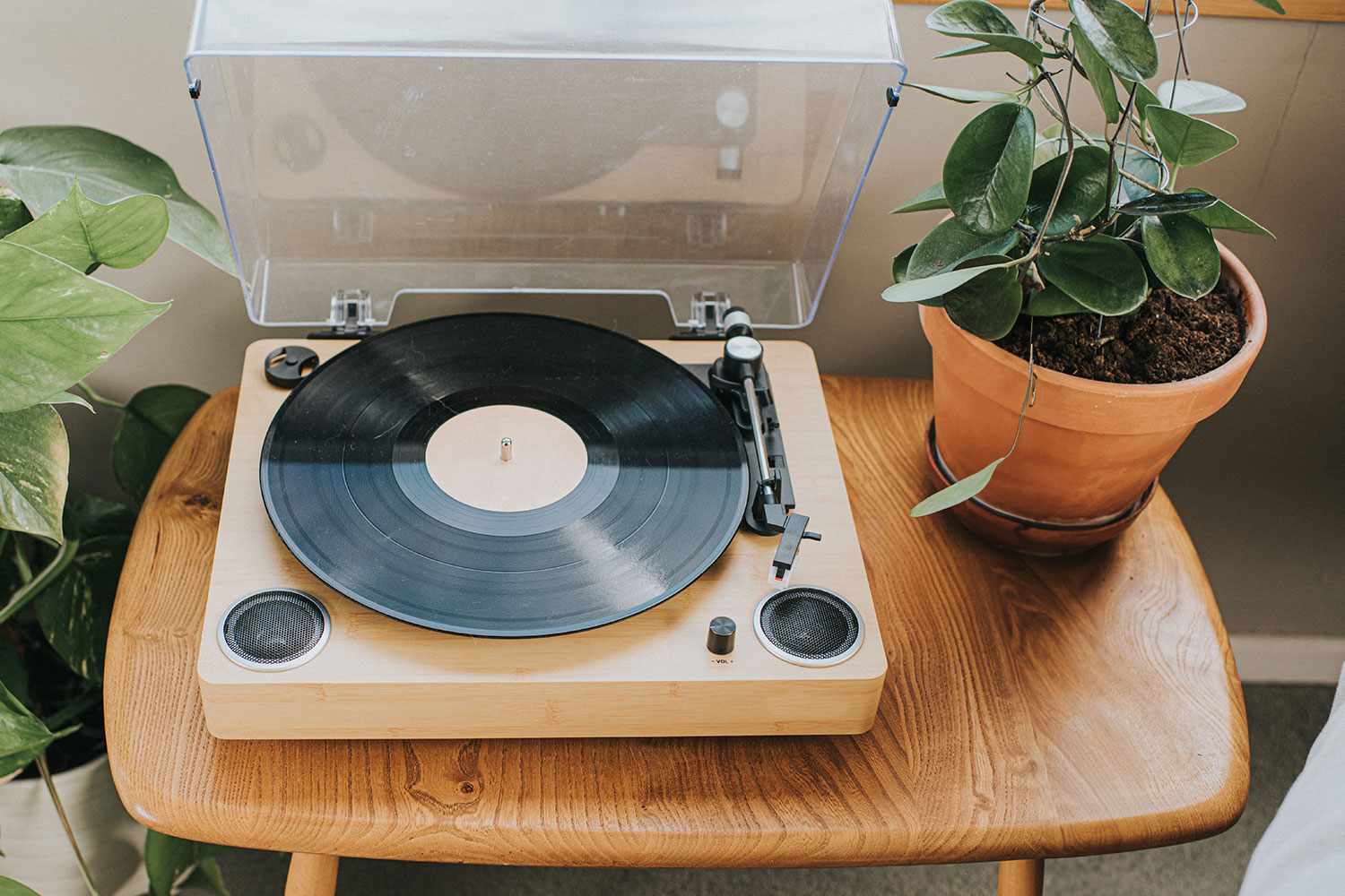 Record player with plant