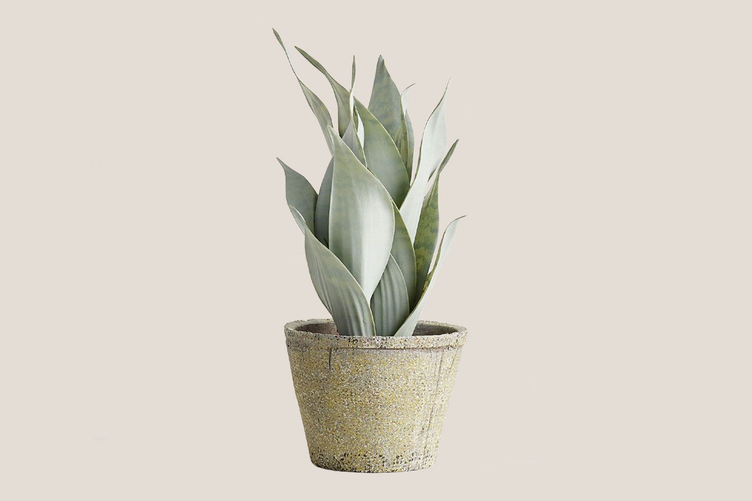 Faux Snake Plant