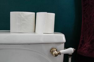 Toilet with toilet rolls on top of the tank