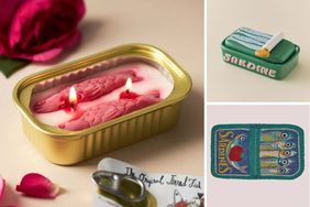 Sardines composite