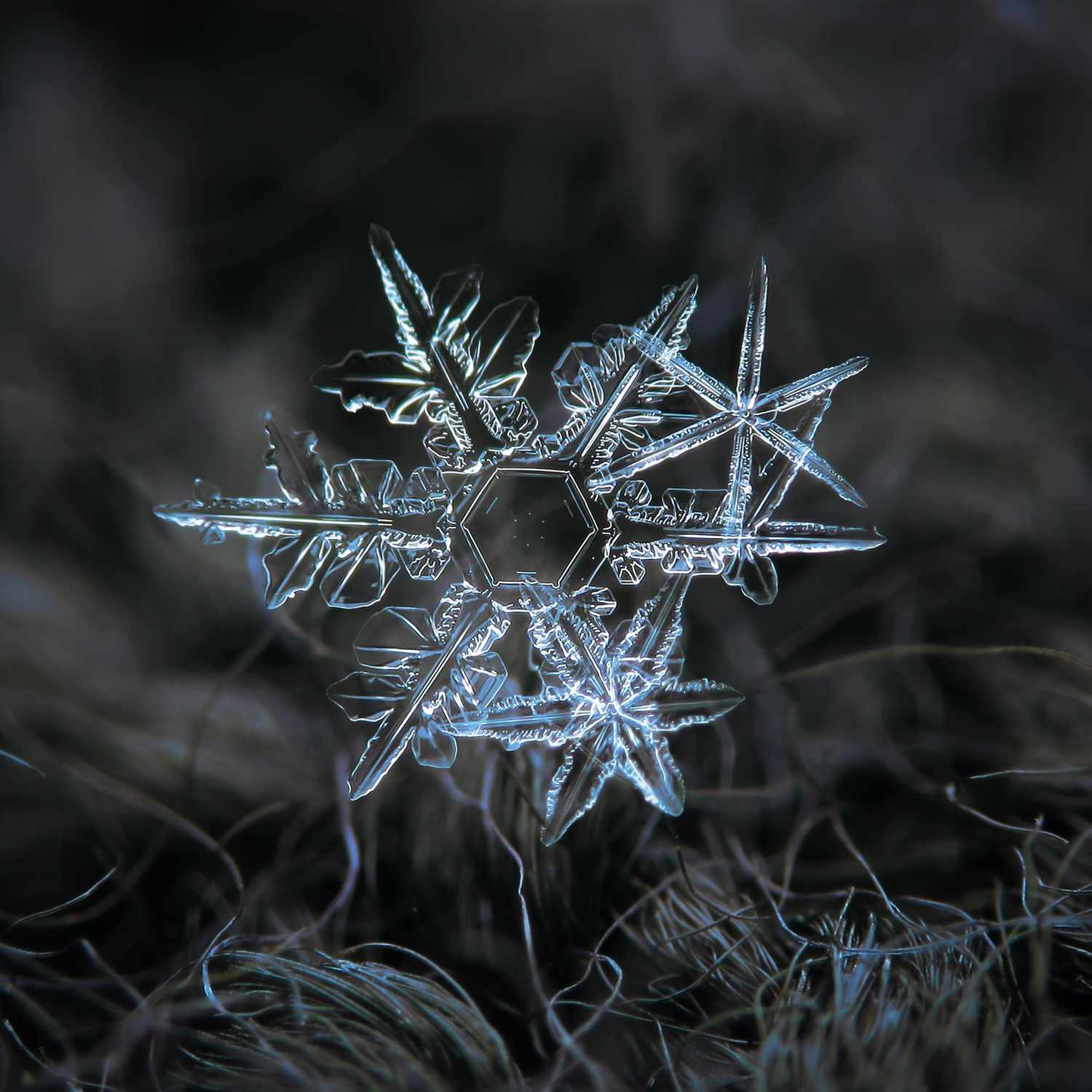 Macro photograph of a single snowflake resting on a textured surface displaying its detailed crystalline structure