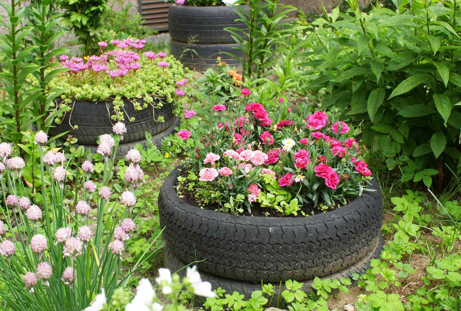 Repurposed tires used as garden planters filled with flowering plants surrounded by lush greenery