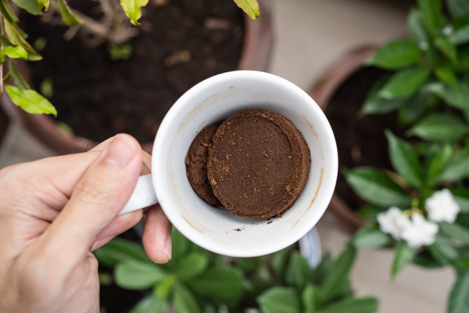 Coffee cup with coffee grounds in garden