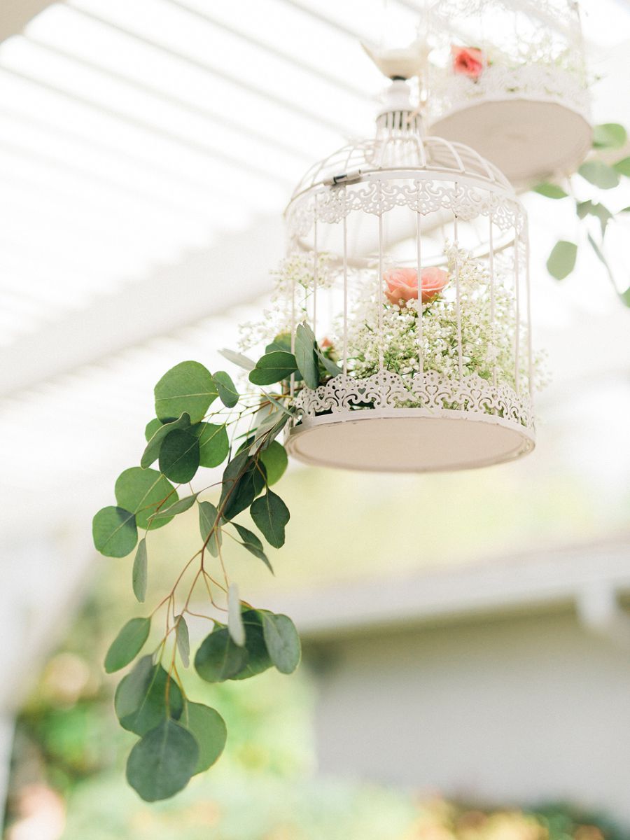 bird cage flowers