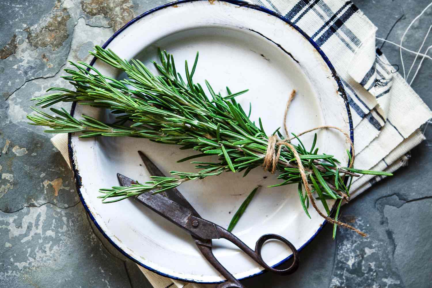 Rustic rosemary harvest