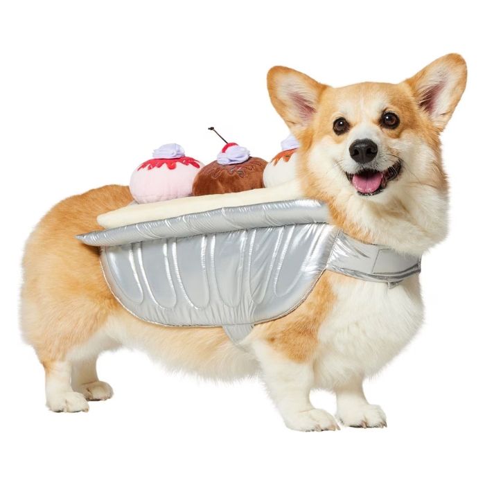 A Corgi wearing a costume shaped like a dessert tray with toppings on its back