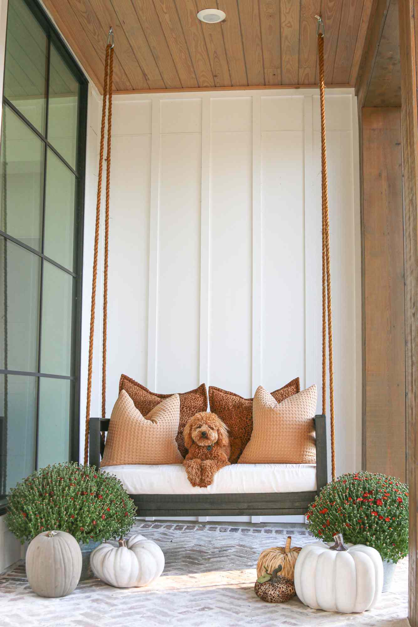 fall porch labradoodle on swing florals and pumpkins