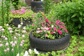 Repurposed tires used as garden planters filled with flowering plants surrounded by lush greenery