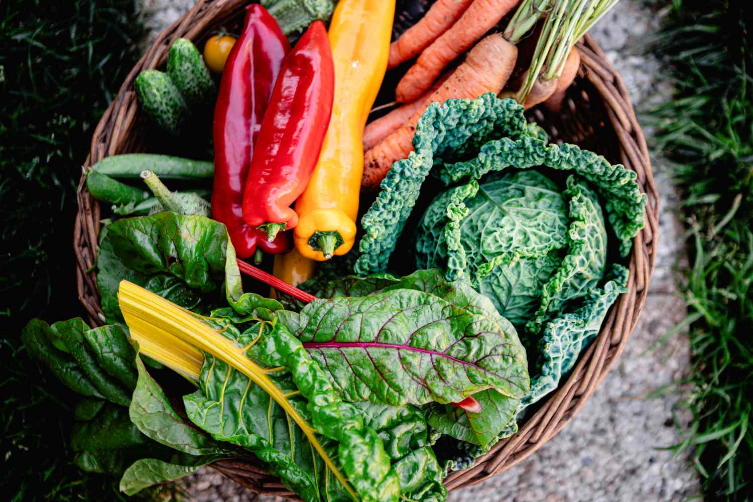 Directly above shot of a variety of fresh organic vegetables harvested in the basket. Homegrown produce vegetables harvested in a wicker basket.