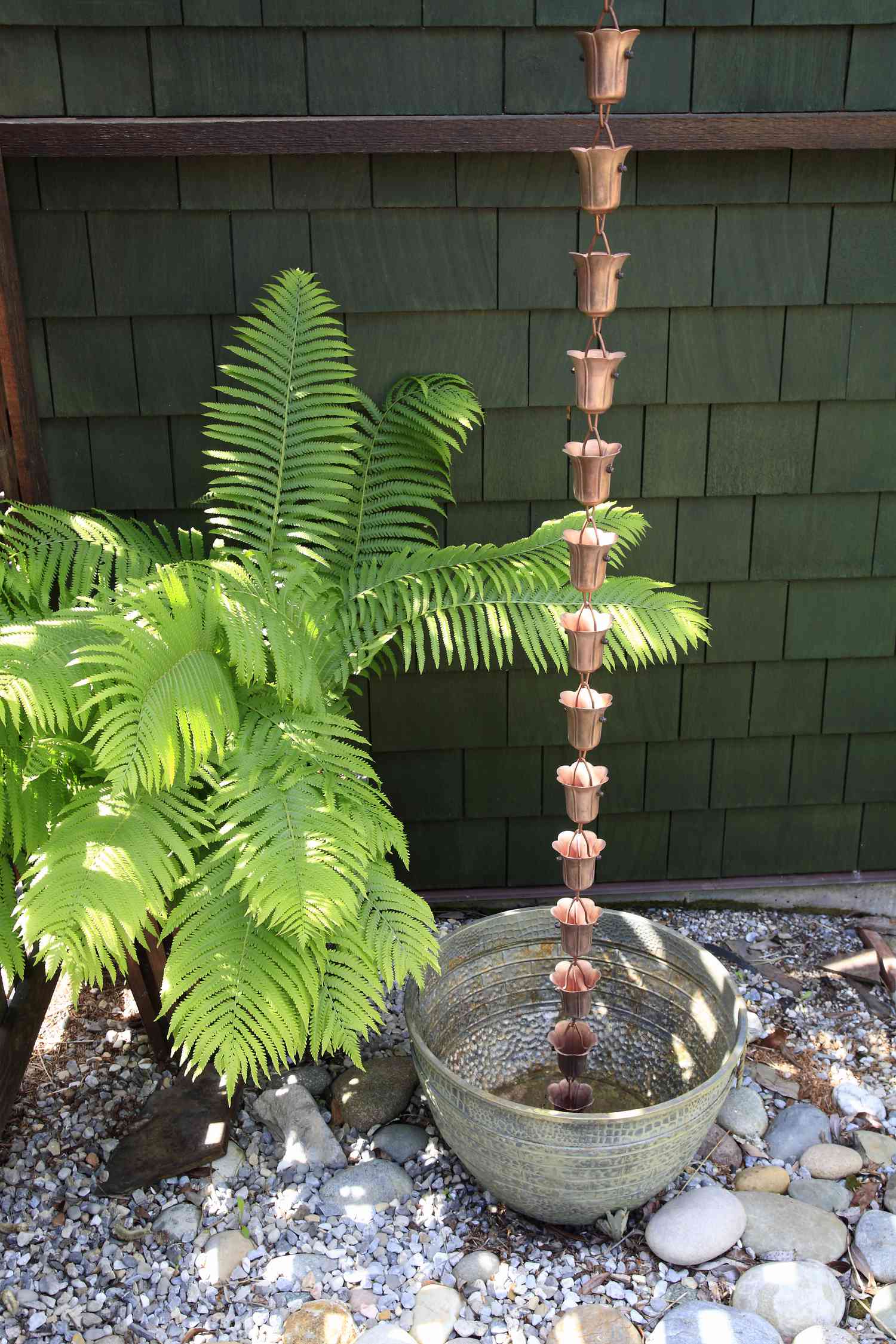 Dappled Sunlight in a zen like shade garden . Xeriscaped with a Copper rain chain,fern,various size stones. Shingle style home in background.