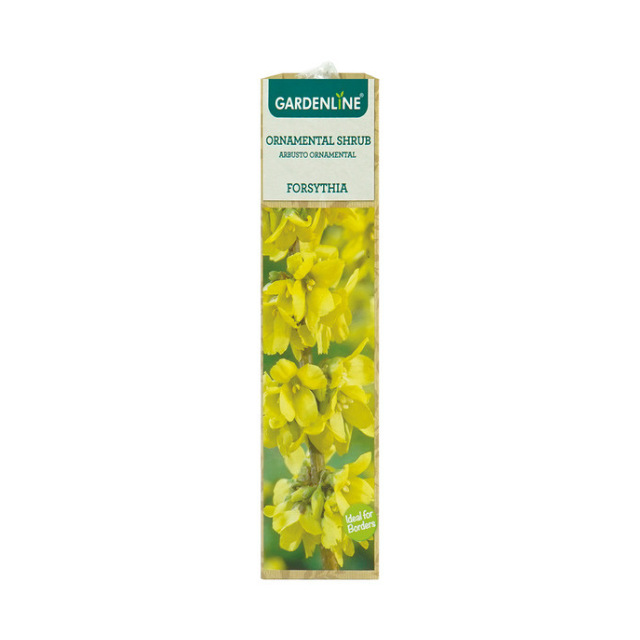 A product package for Gardenline ornamental shrubs forsythia