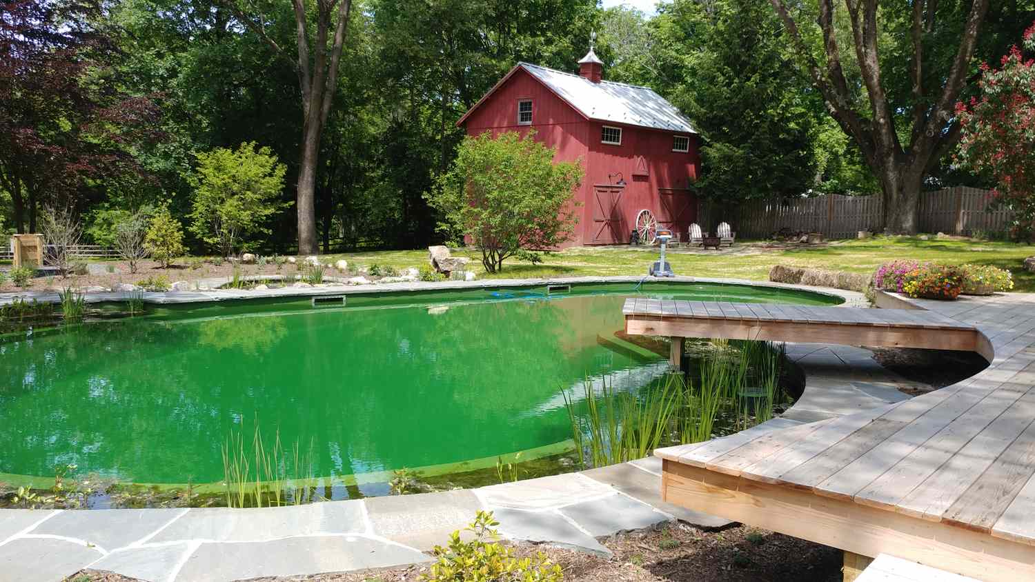 natural swimming pool barn