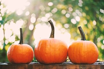 Three pumpkins lined up outdoors on a wooden surface with a blurred background of sunlight through greenery