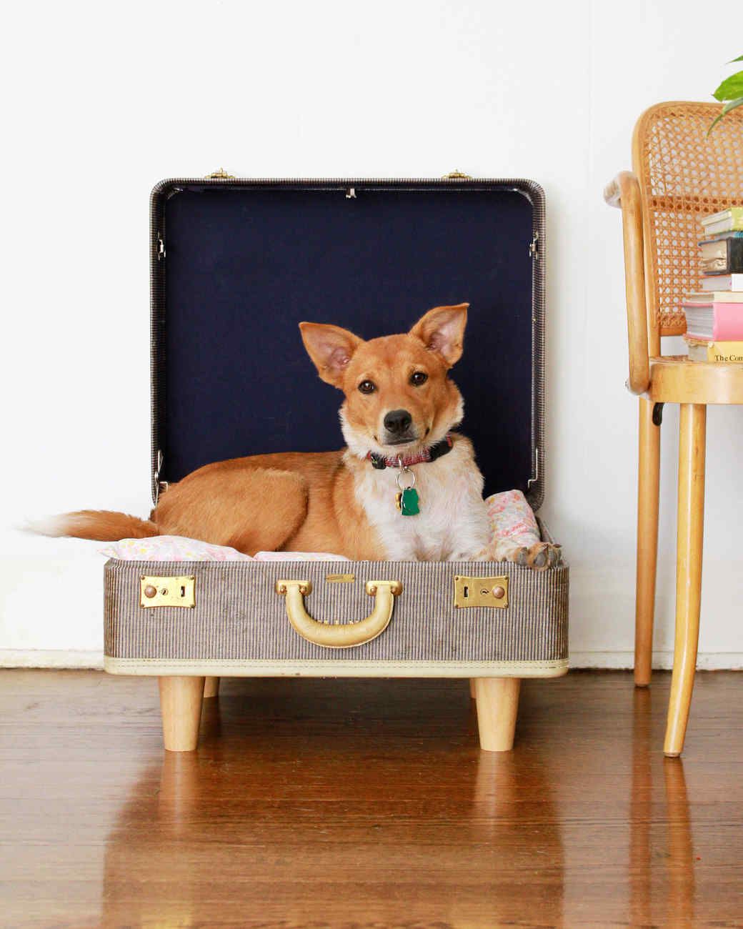 pet bed suitcase project