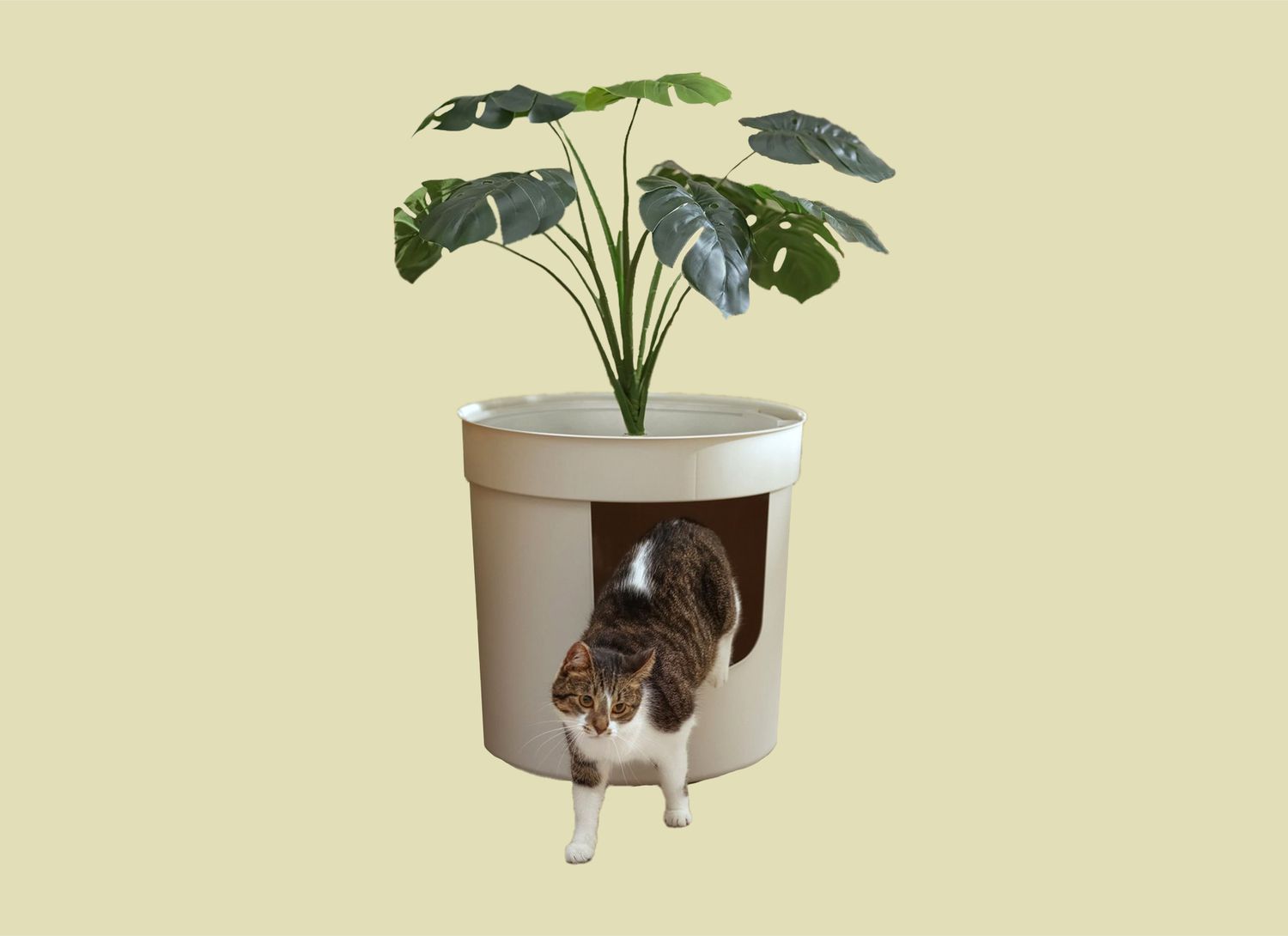 cat exiting a litter box planter on pale green background