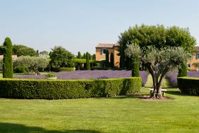 Front yard with hedges