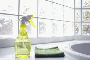 spray bottle and microfiber towel in front of windows