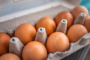 A carton of eggs displayed in an open egg container