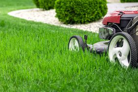 red lawn mower in grass with bushes in background