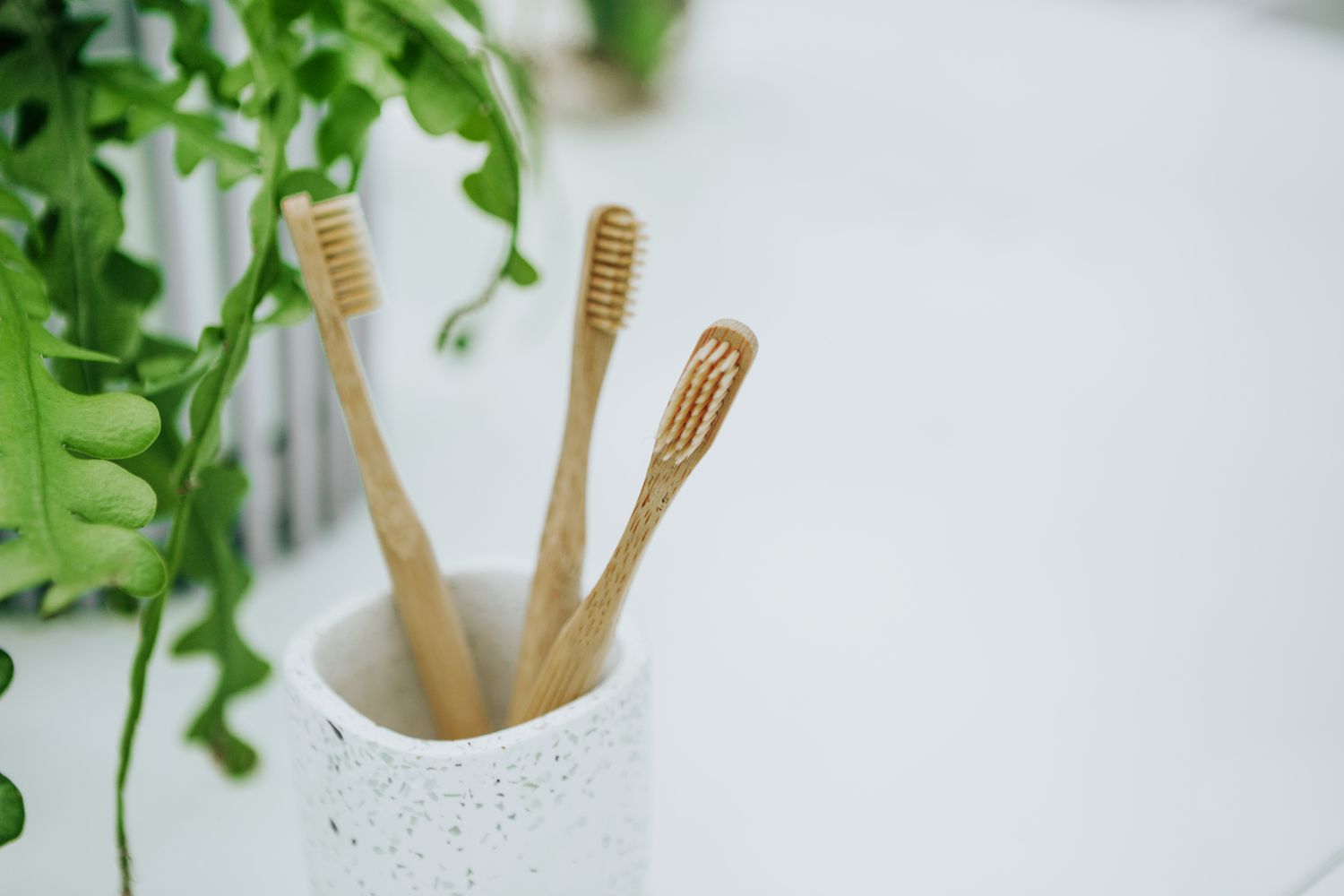Bamboo toothbrushes in cup on bathroom counter