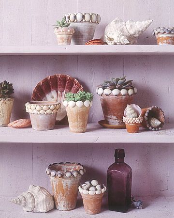 shell flowerpots on purple shells
