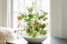yellow white flowers in frog vase with natural light