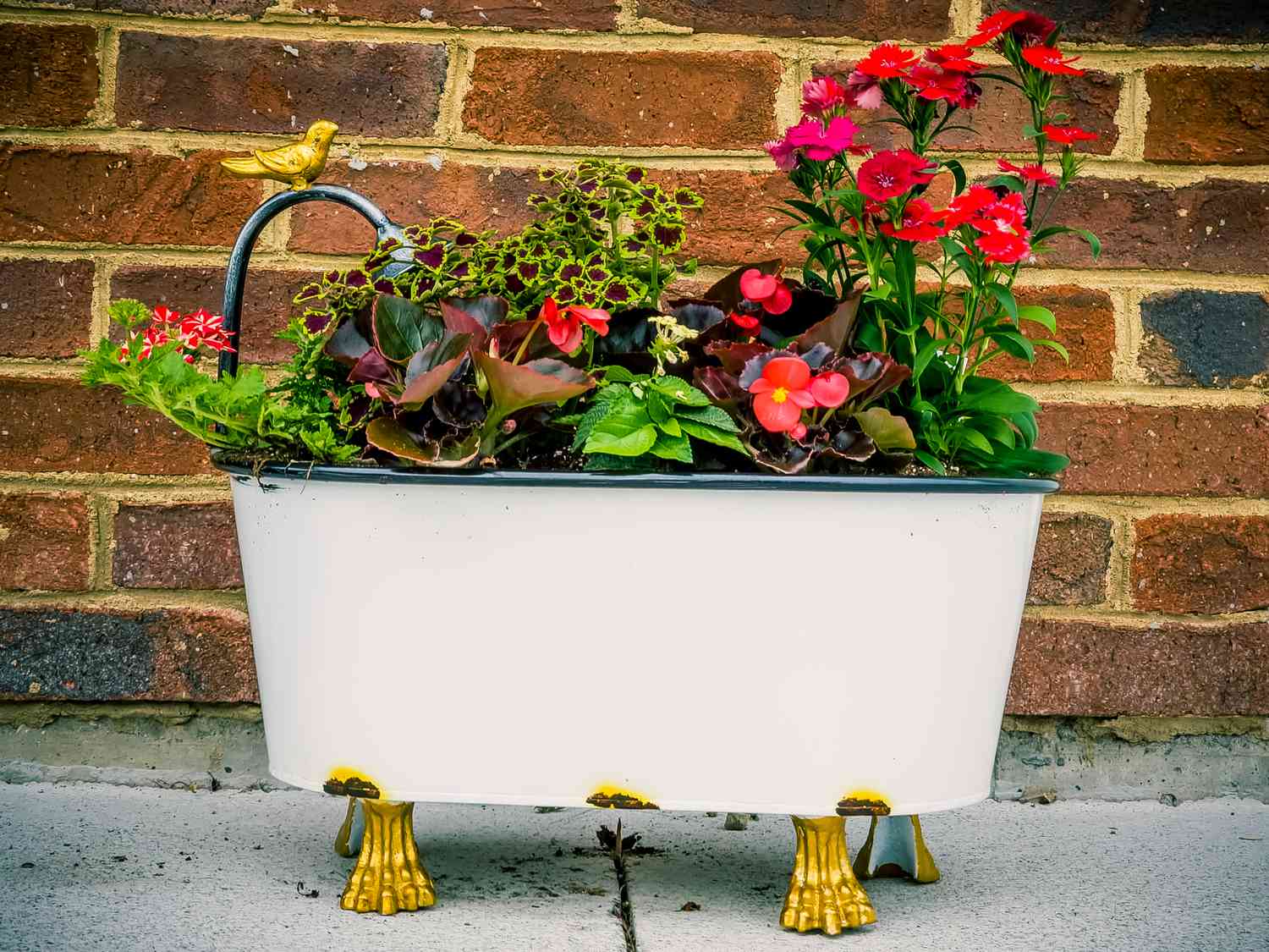 vintage bathtub filled with flowers
