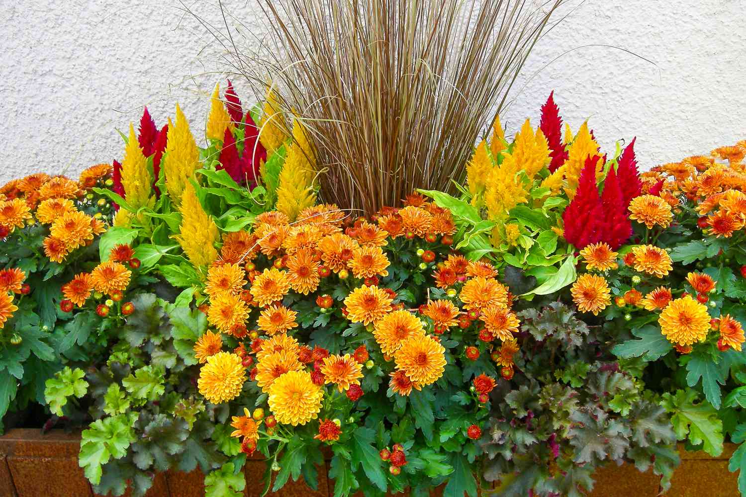Multiple flowers in Red/Orange flower box