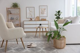 Modern living room with minimalist furniture and houseplants