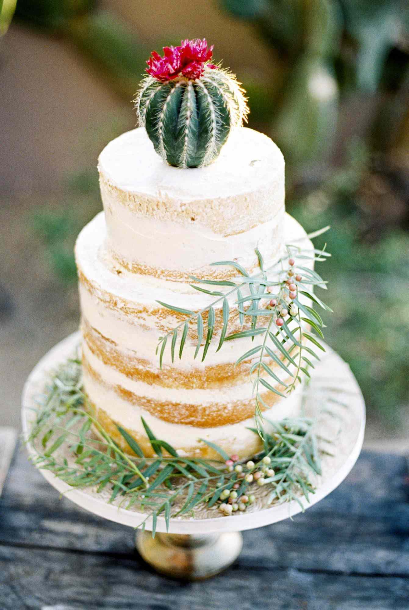 Lightly Frosted Wedding Cake Topped with Mini Cactus